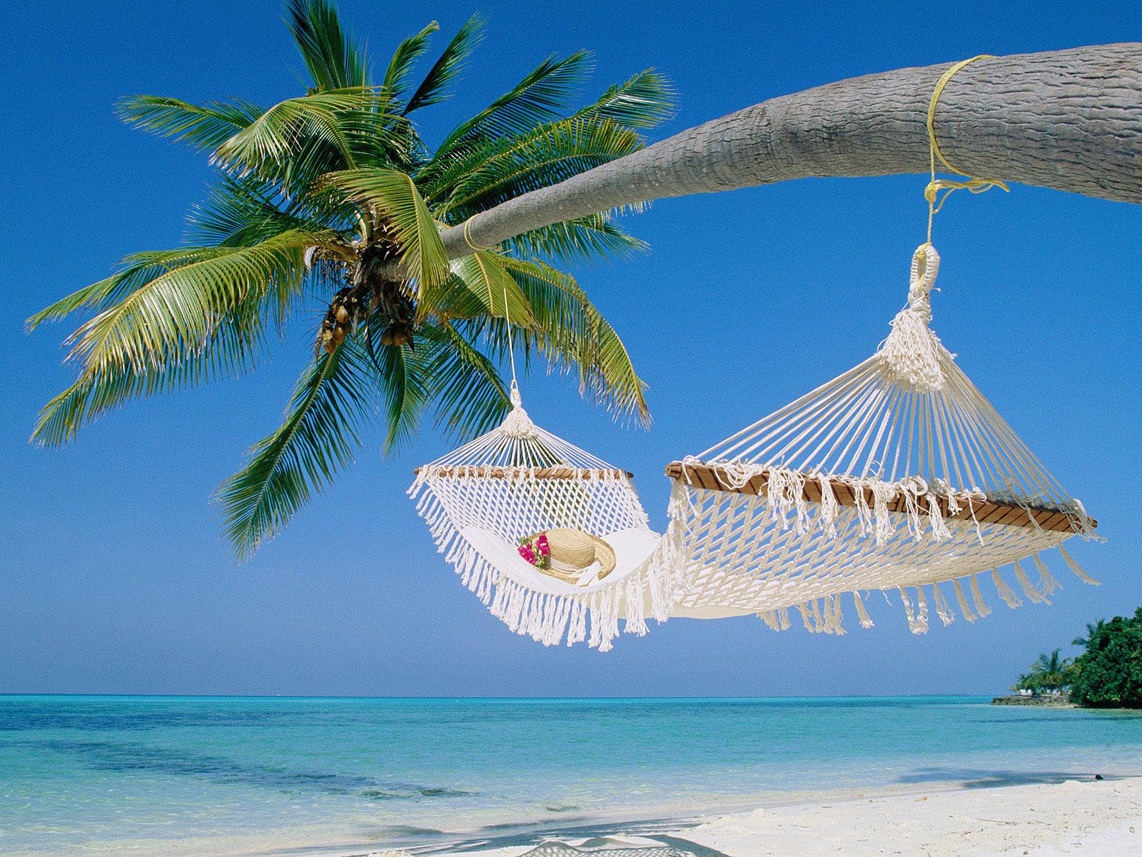 Hangmat tussen palmbomen aan tropisch strand